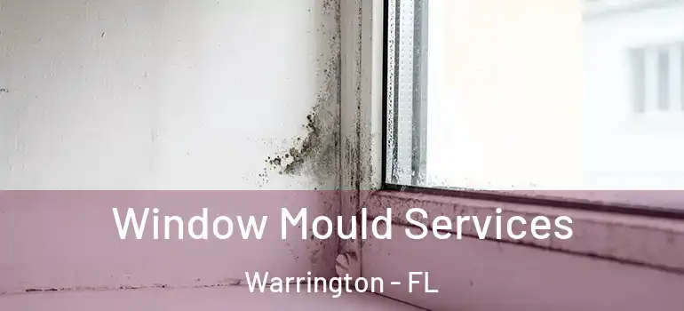  Window Mould Services Warrington - FL