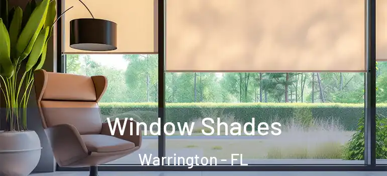 Window Shades Warrington - FL